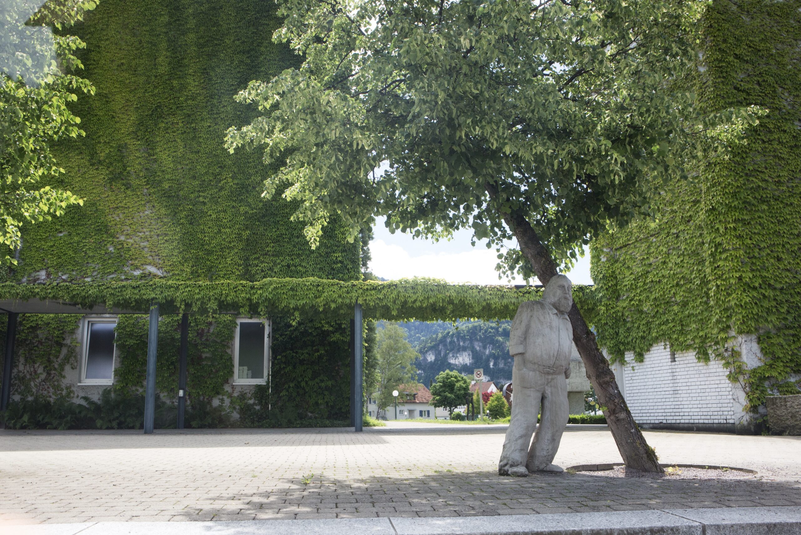 Bildvortrag „MIT BÄUMEN GEHT DAS BESSER“ am 12. Mai 2022 – CUBUS Wolfurt