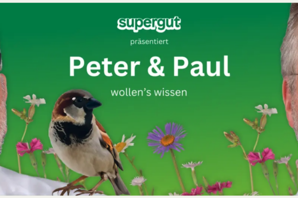 Bildschirmfoto 2026-02-02 um 15.58.26