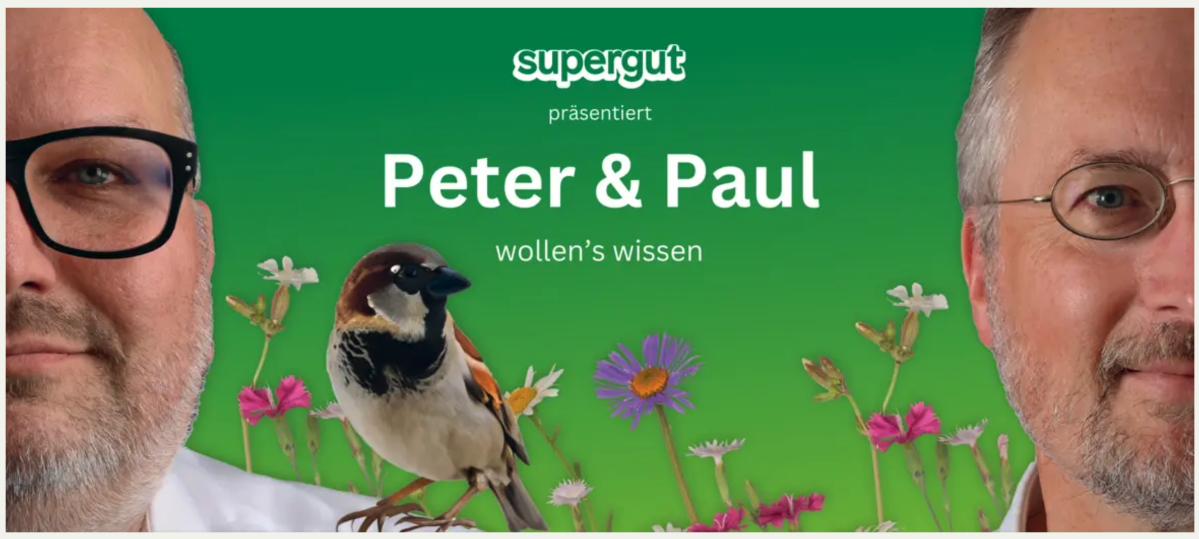 PODCAST MIT PUBLIKUM: PETER & PAUL , 10. FEB. 2026