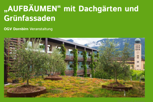 Bildschirmfoto 2026-03-25 um 10.21.30