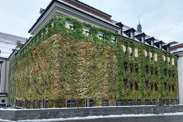Grünfassade