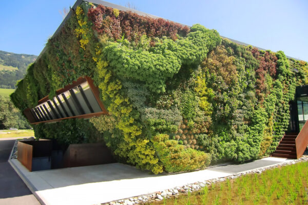 Gruenfassade_Osttirol_Quelle_ Enzi_Vera