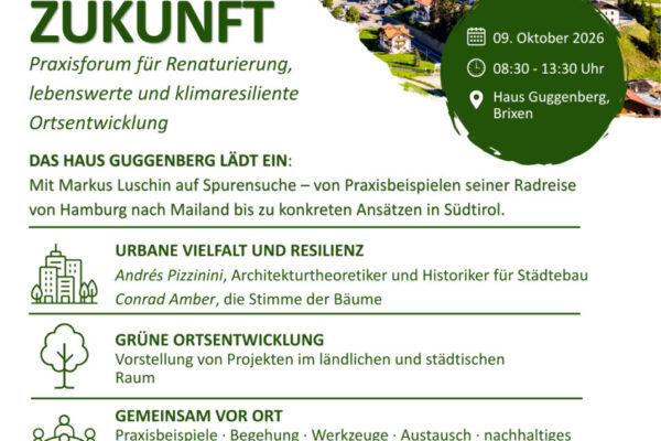 Grünstadt - 2 Grünstadt - 2