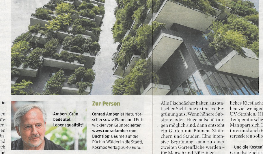 Gärten, die in den Himmel wachsen – Kleine Zeitung Interview 18.6.2021