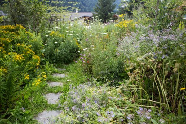 Loewen_kraeutergarten Loewen_kraeutergarten