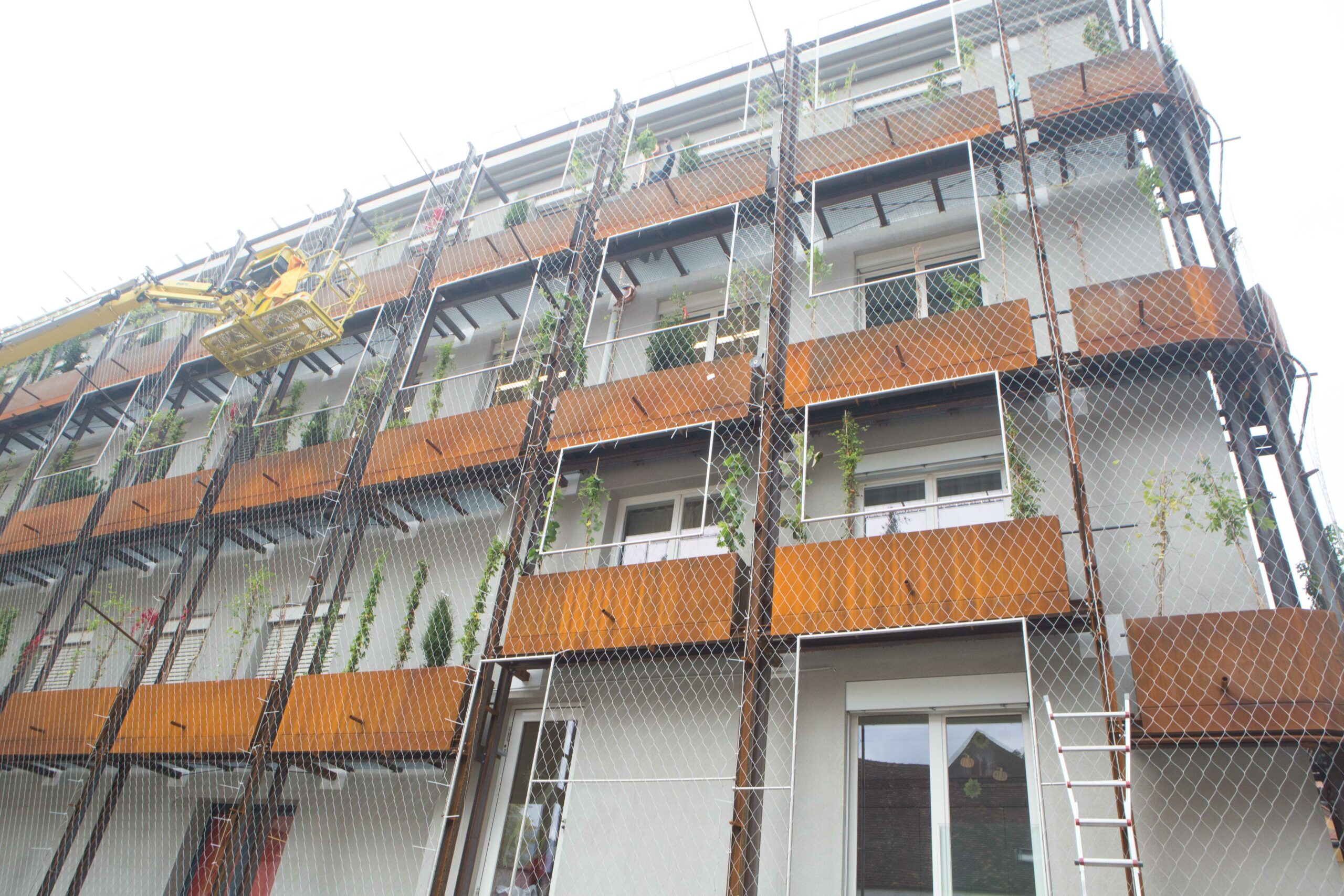 GRÜNFASSADE AK-FELDKIRCH – kurz vor Fertigstellung!  Oktober 2023
