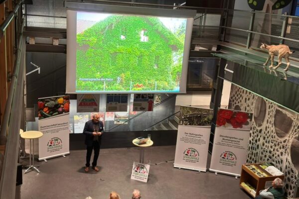 PHOTO-2026-03-26-21-05-15 2