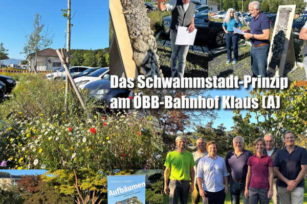 Schwammstadt_GSS_25 Kopie