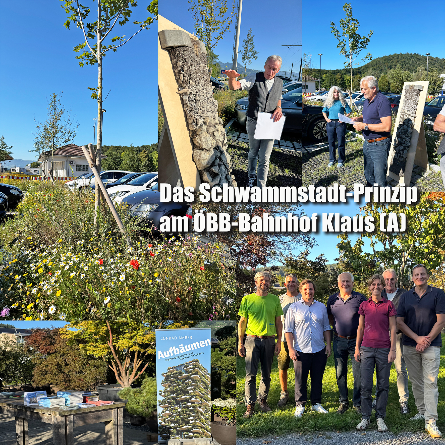 GrünStadtvorOrt – Veranstaltung (kostenfrei!)