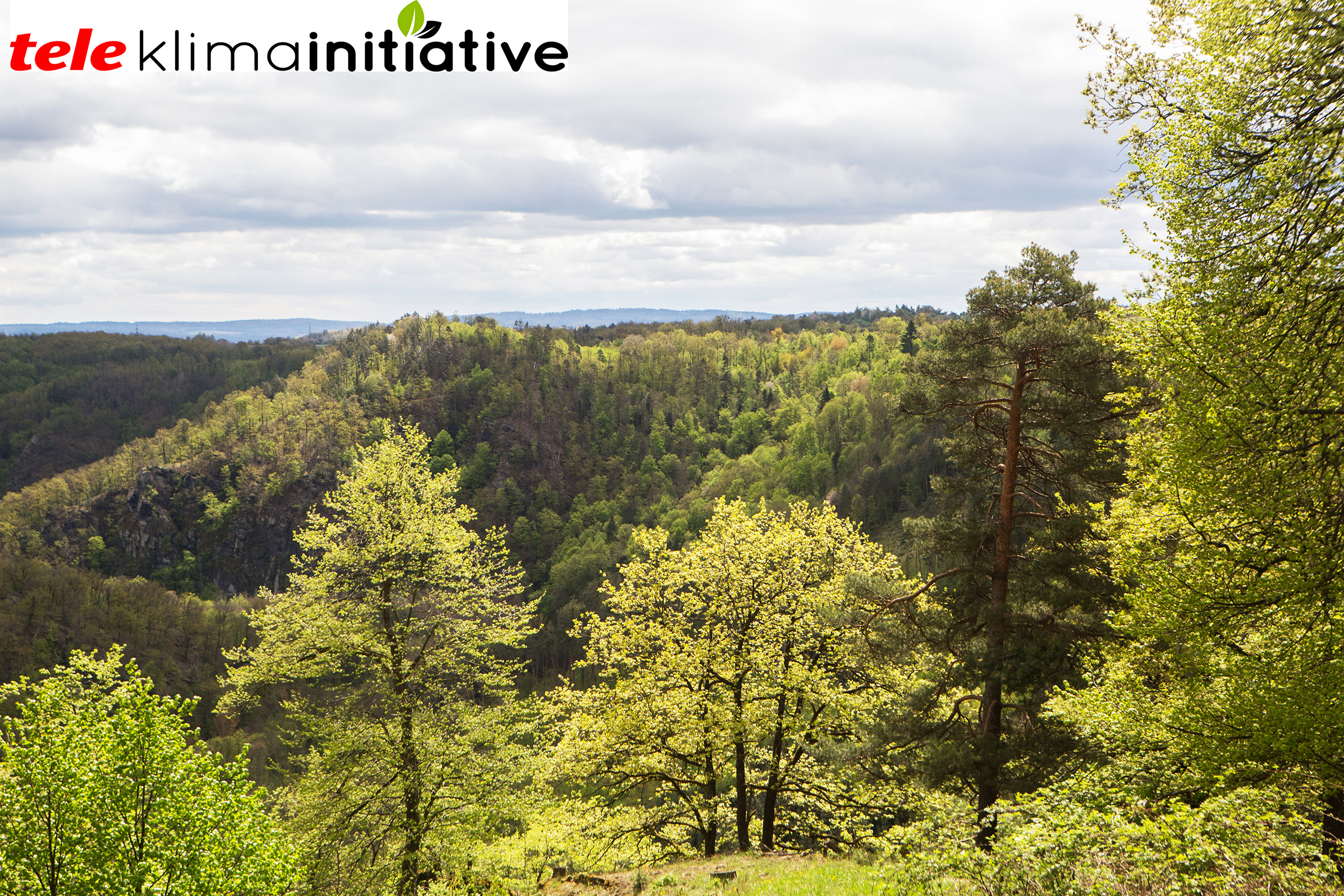 Vortrag- Walderfahrung-Waldforschung – im Skywalk-Allgäu-Park am 25.4.23