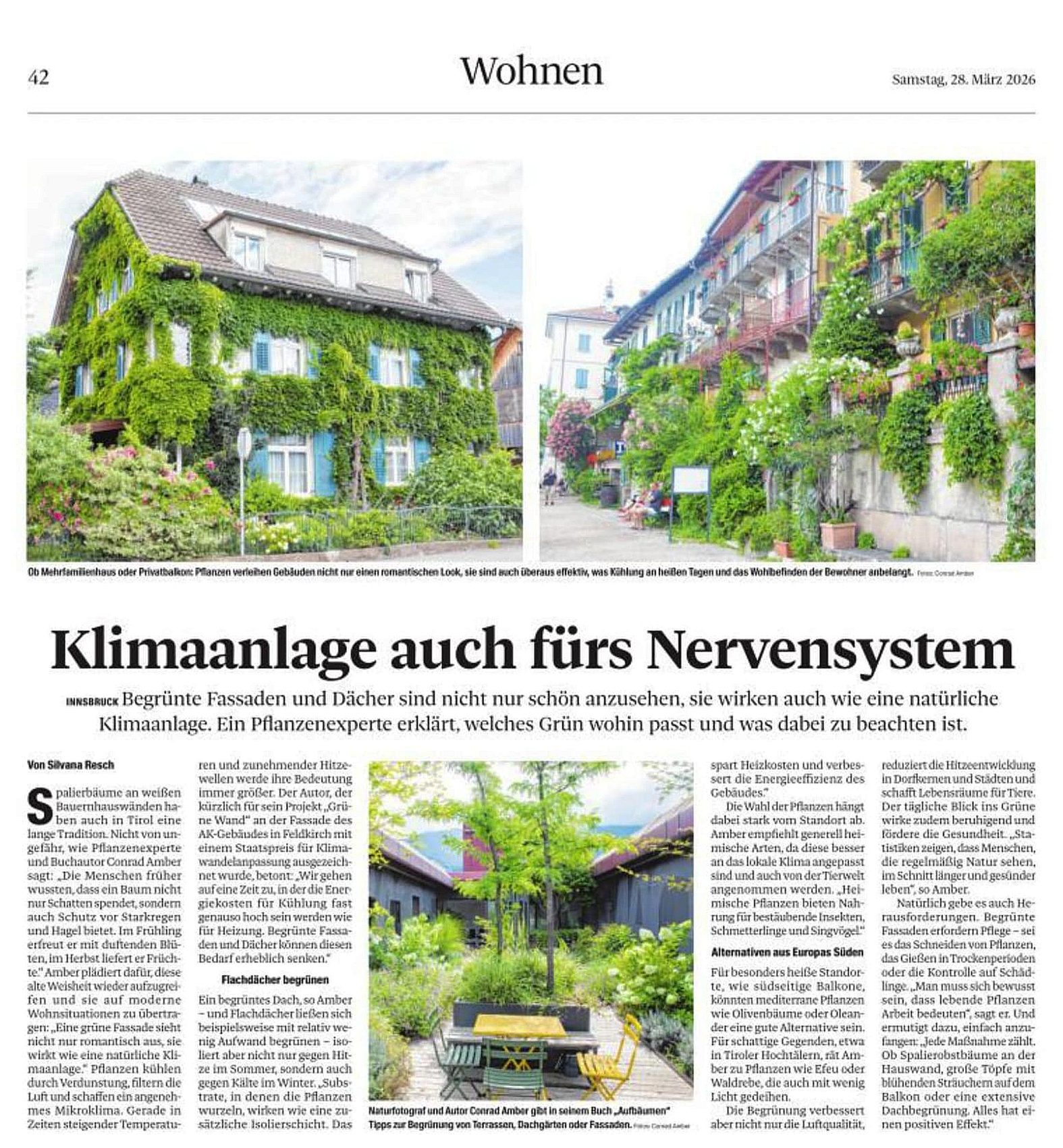 BERICHT IN DER TIROLER TAGESZEITUNG (GRÜNGEBÄUDE)28. MÄRZ 2026