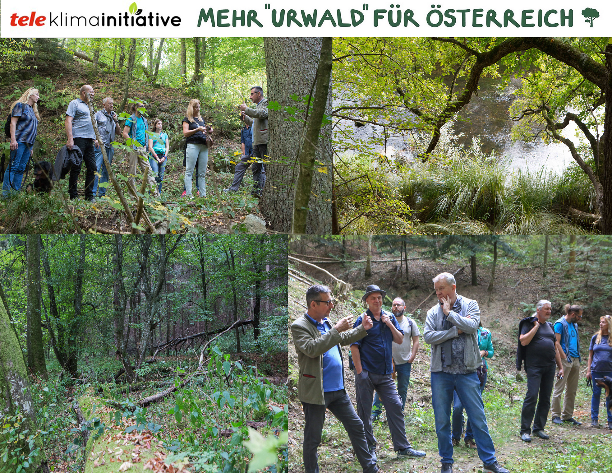 WALDBEGEHUNG STIFTSWALD ALTENBURG – mit „tele“-Team am 6. Okt. 2023