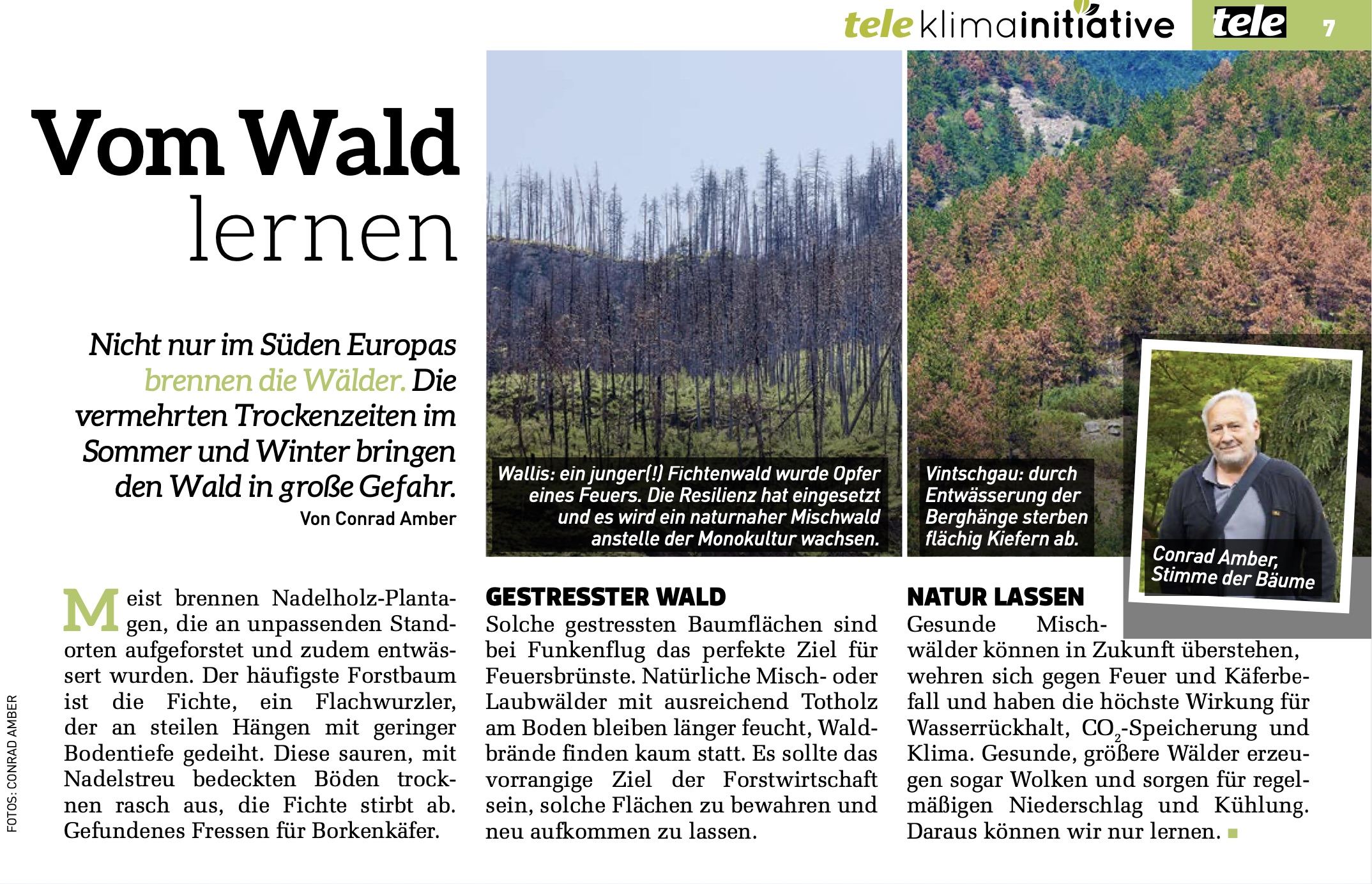 WALDBRANDGEFAHR – JETZT! „tele“ Artikel und Inserat des Bundesministeriums
