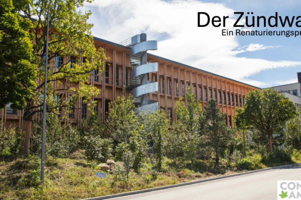 Zündwald_titel